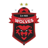 悉尼FCU20
